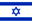 International driver license in Israel