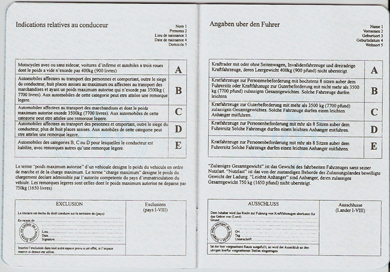 Unofficial International Driving Document (book, page 4)