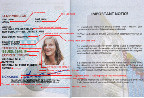 International Driving License with Red Annotations